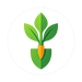 Yardyly logo